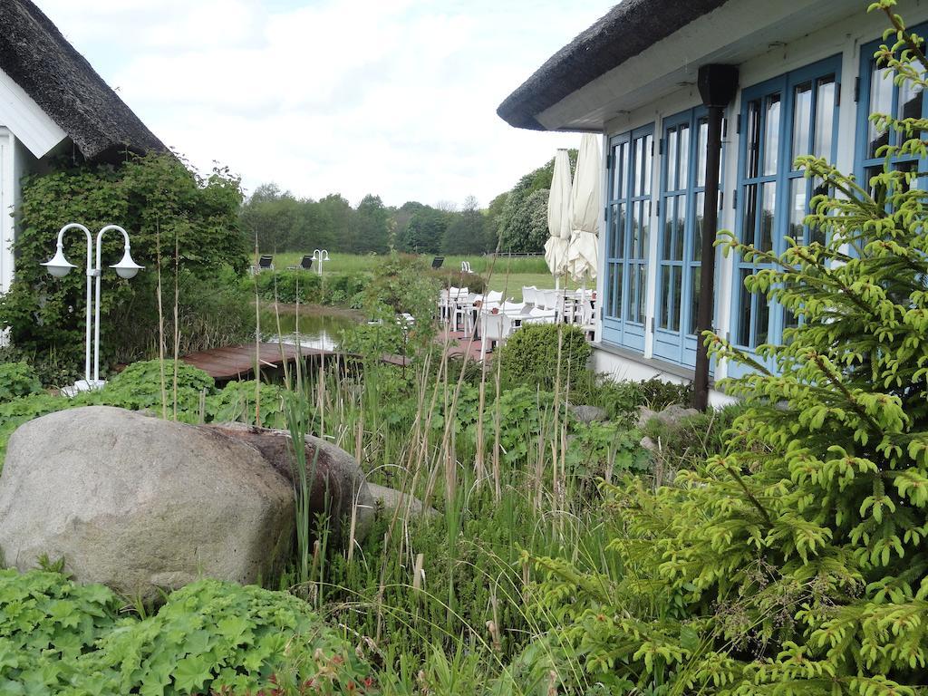 Wreecher Hof Putbus Exterior foto
